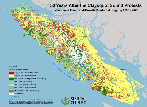 Map of Vancouver Island, B.C shows additional 30 years of oldgrowth deforestation since the 1993 Cloyoquot Sound protests. 

Red markings: logged oldgrowth areas 1993-2022

Yellow markings: logged oldgrowth areas, already by 1993 (i.e. southeastern third of large Vancouver Island)

Map produced by Sierra Club BC