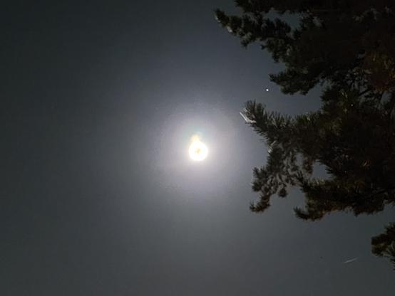 Photograph of the blue super moon taken with the Samsung Galaxy S22 Ultra on 3x zoom. There's weird jpeg artifacting on the moon or something.
