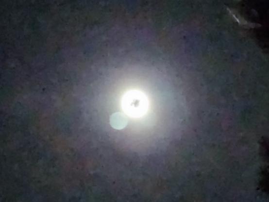 Photograph of the blue super moon taken with the Samsung Galaxy S22 Ultra on 10x zoom. There's a dark spot on the center of the moon, presumably from Samsung over-enhancing the craters with their photography AI. That sure was a dumb controversy.