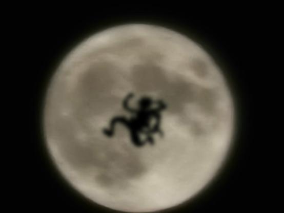 Photograph of the blue super moon taken with the Samsung Galaxy S22 Ultra on 100x zoom. A dark, blurry shape leaps across the front of the moon. I hear the drums of liberation.