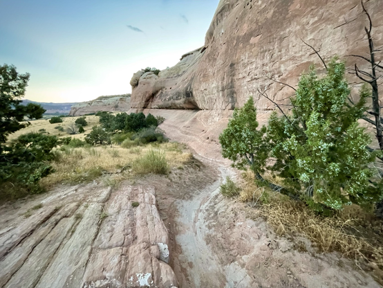 Desert mountain bike trail weaves past the base of a cliff.