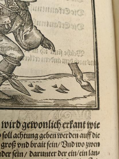 Detail of a set of deer tracks with a truncated leg on front to show what makes the tracks.