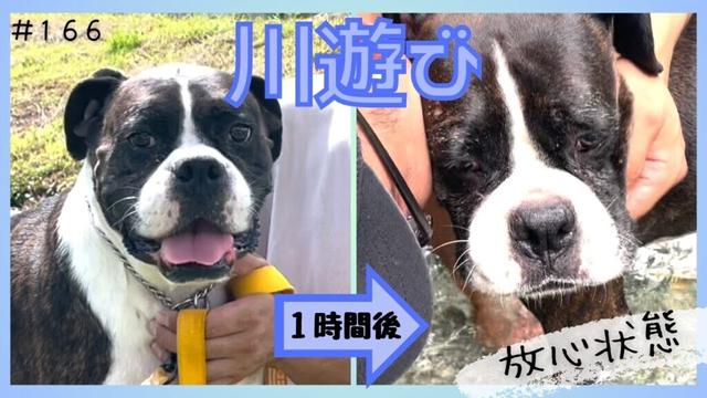 【ボクサー】放心状態ってこのことを言います