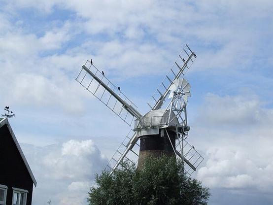 Cormorants on the sails of St Benets Level Mill, Thurne, Norfolk