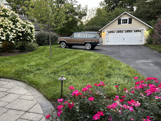 Landscape photo of a green lawn, fuchsia colored roses, large white hydrangea bush and a classic Wagoneer parked in the driveway near the garage