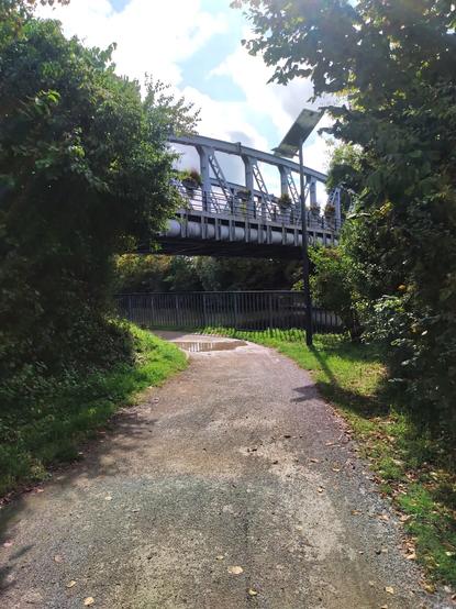 The running path goes under a bridge. Trees on each side