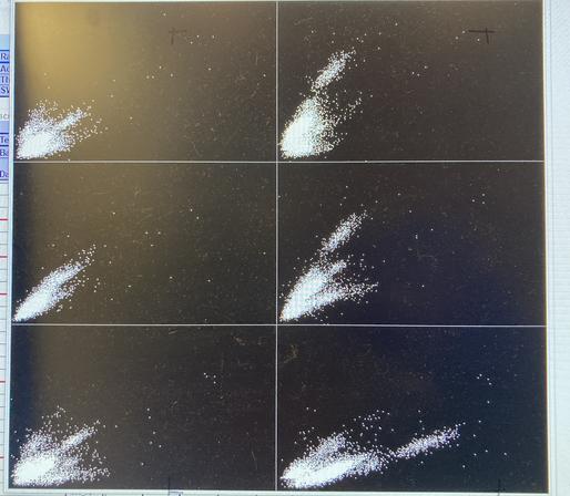 Photo of my recording program screen showing clusters for one tetrode. At least 4 -5 clusters are visible.