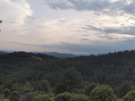 Montagnes recouvertes de forêts