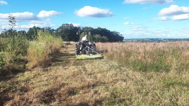 Micro tracteur avec gyrobroyeur attelé.
Au fond, un petit bois, dans le ciel des nuages moutonnent.