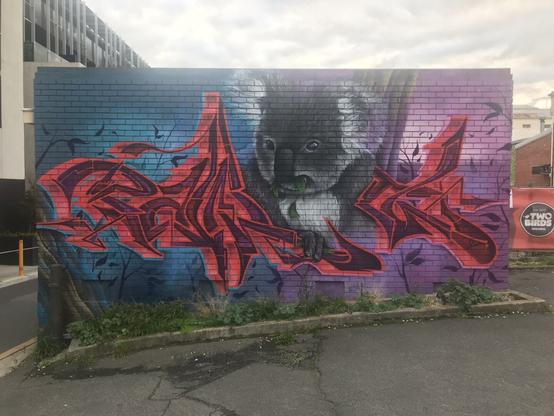 Artwork by sugar & pawtl in Melbourne, Australia