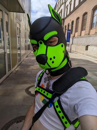 Green pup with crop top