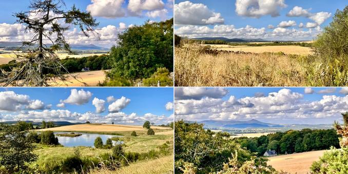 Four photo collage of autumnal countryside. Fields of barley near ready to harvest, woodland, a small private loch, Bennachie range in the background and blue skies, with white fluffy clouds.