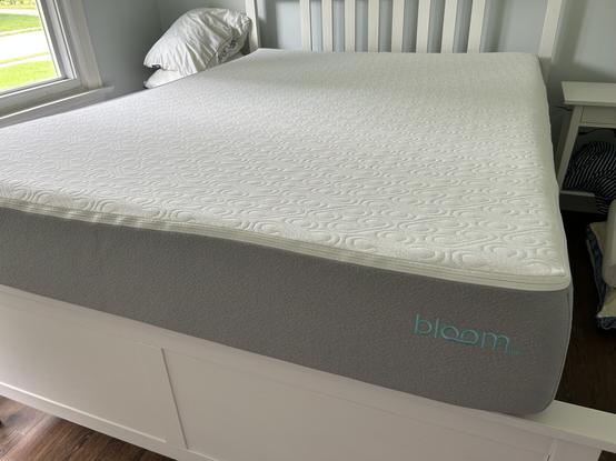Bloom mattress sitting on top of a white bed frame.