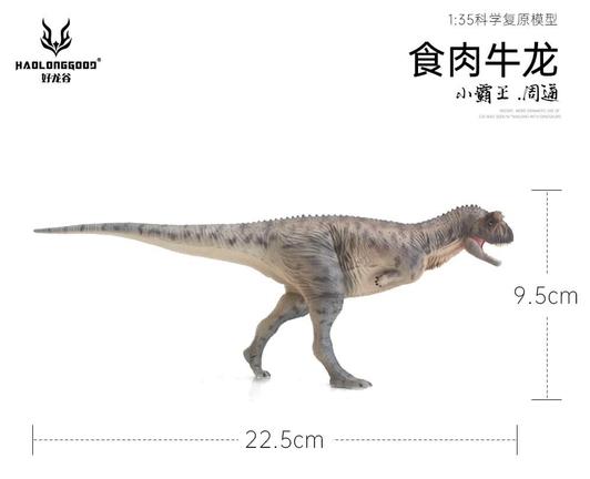 A Carnotaurus dinosaur toy in side view. Scale bars show the figure is 22.5cm long and 9.5cm tall.