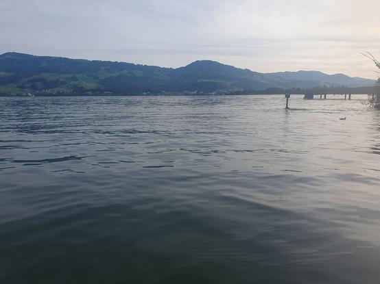 Blick über den Zürichsee von Rapperswil Richtung Hurden.
Die Seeoberfläche kräuselt sich.
Am anderen Ufer sind Hügel und ein paar Gebäude zu sehen. Die Luft ist diesig, deshalb sind keine Details erkennbar.
Rechts am Bildrand verläuft ein Steg - die Holzbrücke, die von Rapperswil über den See nach Hurden verläuft.