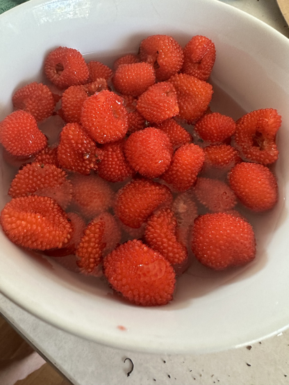 A bowl of Atherton raspberries soaking in water
