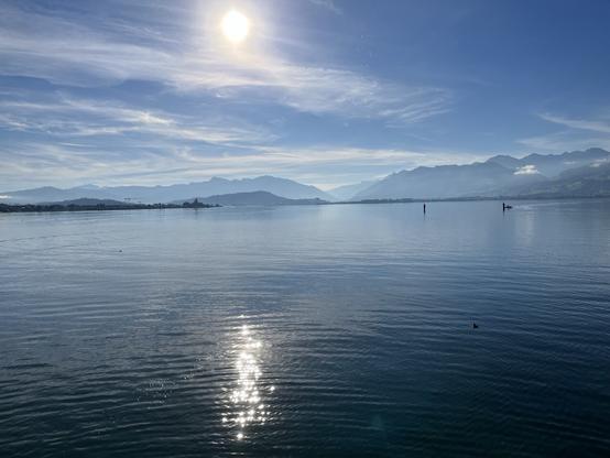 View of lake Zurich, bright blue sky, sun mirrors in the water