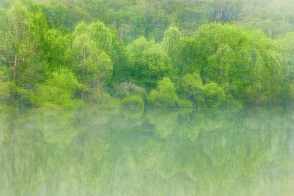 Warm Springs Virginia Lake Moomaw Lake Reflections:

https://pixels.com/featured/in-my-dreams-1-norma-brandsberg.html

More art: www.ElegantFinePhotography.com
