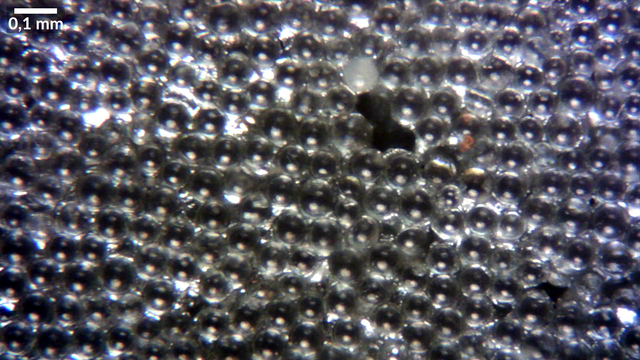 Mikroskopieaufnahme, 1,50mm x 0,84mm es sind kleine Glaskugeln, unregelmäßig aber sehr dicht nebeneiander, teilsüberlappend angeordent, zu erkennen, Größe ca. 40-70µm.