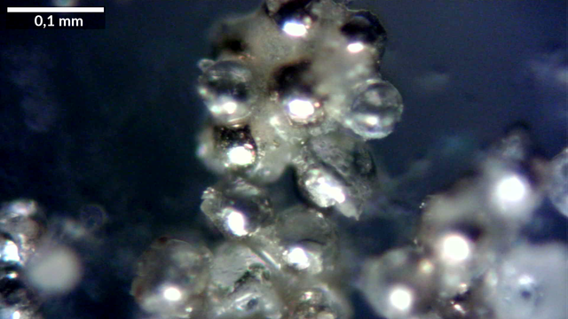 Mikroskopieaufnahme, 0,58mm x 0,32mm es sind kleine Glaskugeln zu erkennen, die durch eine graue, anscheind schmierige oder klebrige Substanz zusammen gehalten werden.