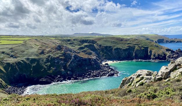 A cove in Cornwall looking south. The sea is turquoise blue, the sky is sunny with clouds, the coastline is jagged with Sandy bays and there is colourful gorse etc.