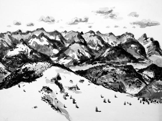 View towards Schwarzenberg and the Tauern. In the foreground a big meadow with small shrubs.