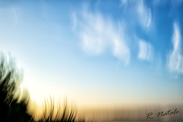 abstract color photo of wind blowing the grasses using intentional camera movement