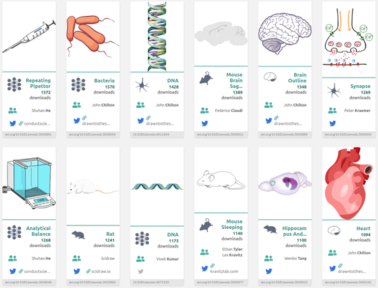 A collection of example SciDraw images featuring lab pipettes, an analytical balance, bacteria, DNA, mouse brains, human brain, a heart, and a synapse.