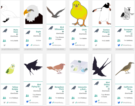 A collection of example SciDraw images featuring multiple birds and two bird behaviour experimental setups.