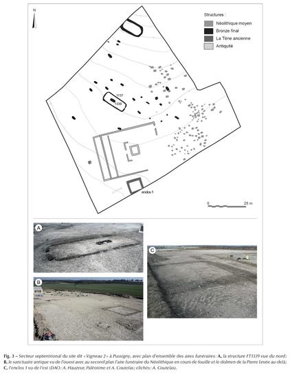 Secteur septentrional du site dit « Vigneau 2 » à Pussigny, avec plan d’ensemble des aires funéraires
