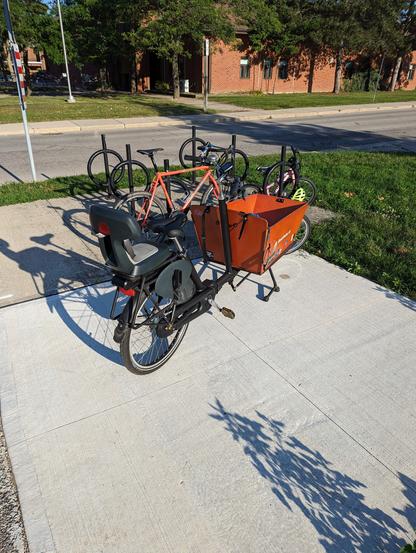 A cargo bike sits on a new cement pad, immediately in front of an older pad covered in ring posts with bikes parked at them. The parking spots are located in a park across the road from an elementary school.