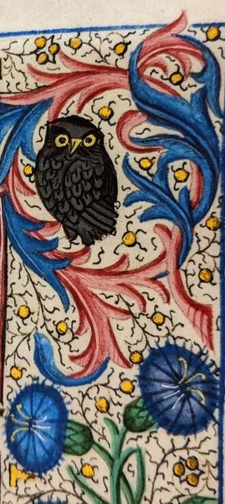 A small black owl with yellow/gold eyes surrounded by floral details including two blue flowers.