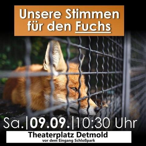 Unsere Stimmen für den Fuchs 

Ein Fuchs schaut depressiv durch einen Zaun Sa.|09.09|10:30 Uhr
Theaterplatz Detmold vor dem Eingang Schloßpark