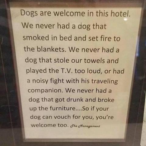 Sign in window
"Dogs are welcome in this hotel.  We never had a dog that smoked in bed and set fire to the blankets.  We never had a dog that stole our towels and payed the T.V. too loud, or had a noisy fight with his traveling companion.  We never had a dog that got drunk and broke up the furniture... So if your dog can vouch for you, you're welcome too.
The Management
