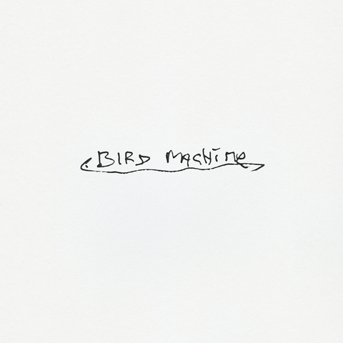 bird machine album cover by sparklehorse