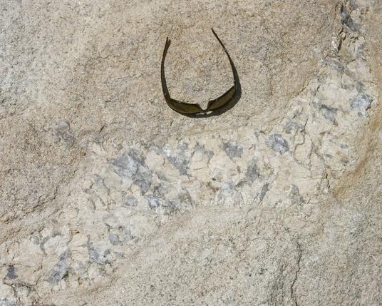 A vein bearing large grayish quartz crystals in a fine grained ground mass intrudes into felsic rock, sunglasses for scale.