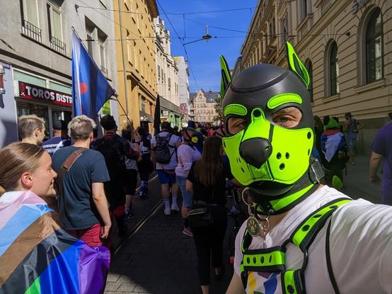 Puppy in crowd