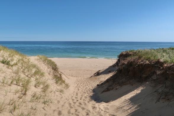 A beach path leads to a view of the Atlantic ocean.