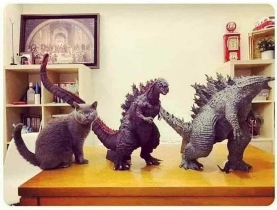 Three Godzilla's but one is actually a cat.