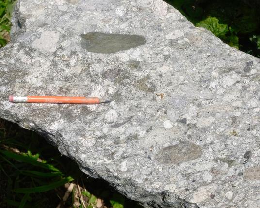 My photo of a piece of float, probably Squantum Member. There is compressive metamorphic foliation expressed as squashed clasts; compression is perpendicular to the pencil.