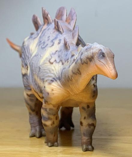 Front view of a four legged dinosaur toy with a double row of low plates running along its back.