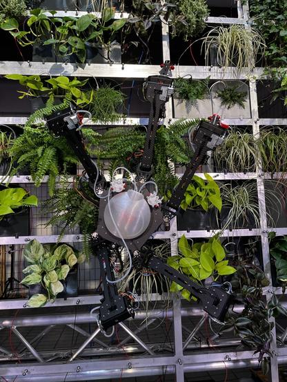 Roboterspinne im grünen
