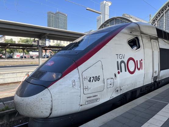 Blåhaj schaut aus dem Führerstandsfenster eines TGV