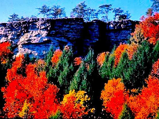 A high rocky cliff with trees in front of it. The trees are autumn colors, including orange, yellow, red and green. On top of the cliff are some trees in which you can only see the shape of. The sky is blue. The cliff is approximately 35 feet feet higher than the tree line below.