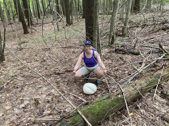 I squat in the forest over a glowing white puffball mushroom. I have a huge grin. The puffball looks a bit like someone’s ass. It even has buttcheeks.