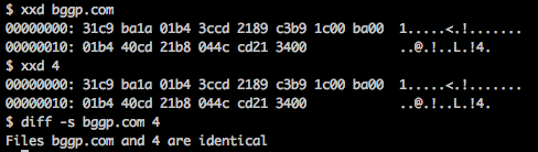 Linux terminal screenshot showing identical binary contents of BGGP.COM and 4, and `diff` confirming they are identical.