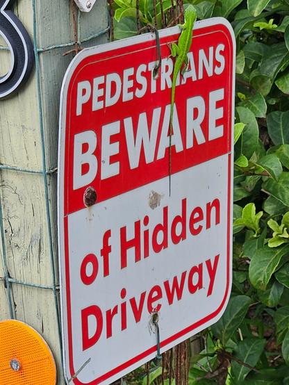 Posted caution sign in red and white, reads: Pedestrians Beware of Hidden Driveway.
Resting atop the sign is a bright green lizard, apparently ensuring compliance with the warning.
