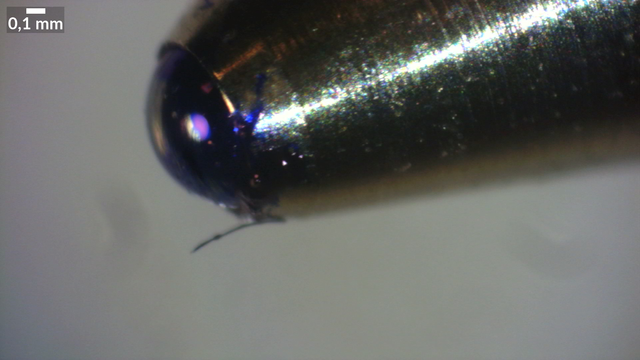 Mikroskopieaufnahme 3,4mm x 1,9mm. Nahaufnahme der Kugel an der SPitze eines Kugelschreibers. Die Kugel ist deutlich mit Tinte benetzt.