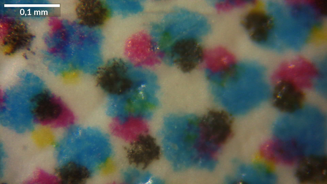 Mikroskopaufnahme 0,59mm x 0,33mm. Farbdruck. Die einzelnen Farben Cyan, Magenta, Geld und Schwarz sind als gleichmäßig verteilte Punkte unterschiedlicher Größe zu erkennen