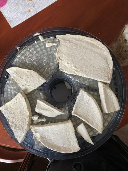 White slices of puffball in the dehydrator. A piece of paper towel with pepper seeds photobombs. I fry pepper seeds for future harvests.